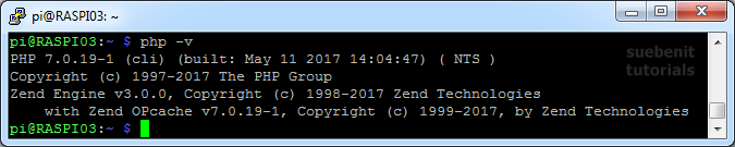 Linux Php Version herausfinden